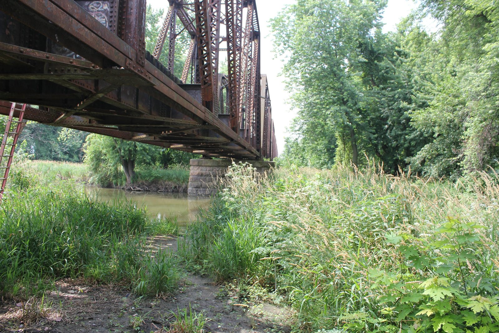 Looking south